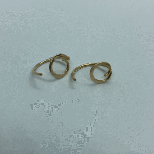 Forever Earrings