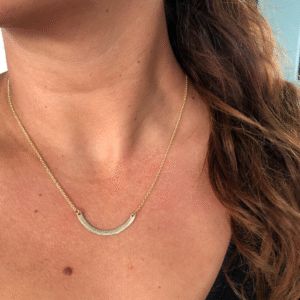 Demi Plate Necklace